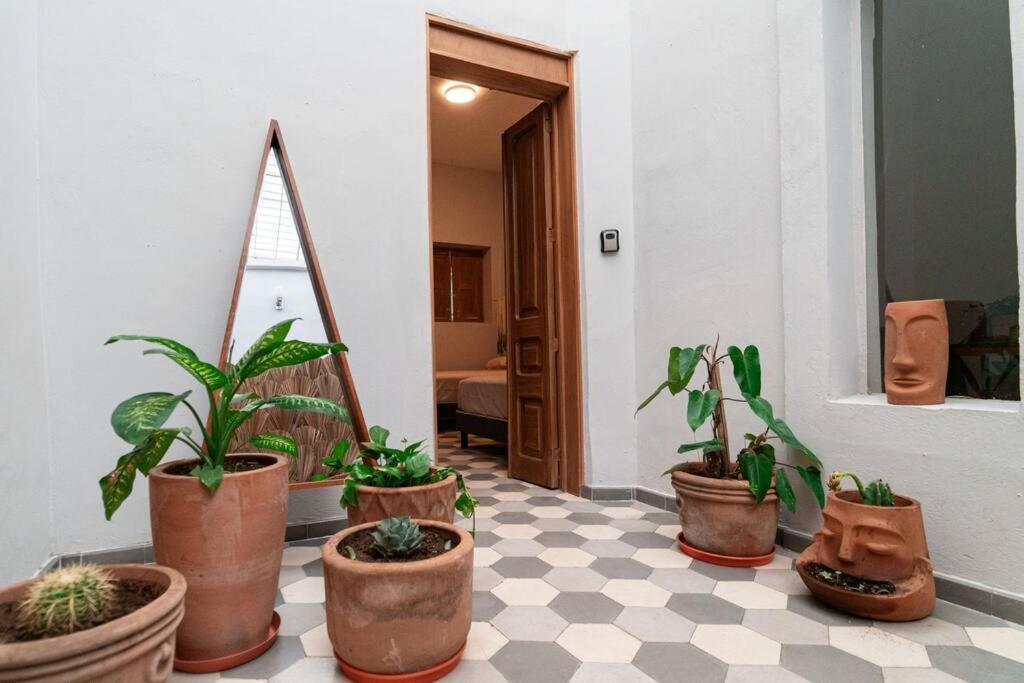 Willa Casa Del Desierto Guadalajara Zewnętrze zdjęcie